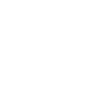 SECON logo